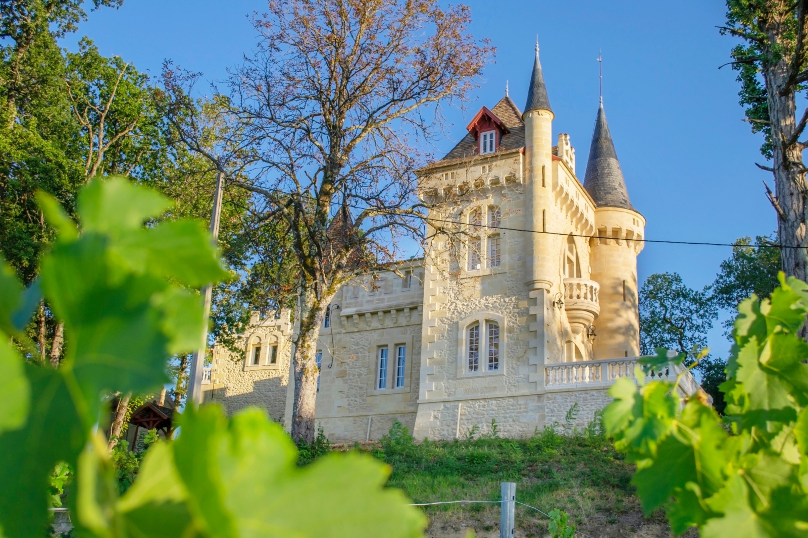 Le château vu depuis les vignes